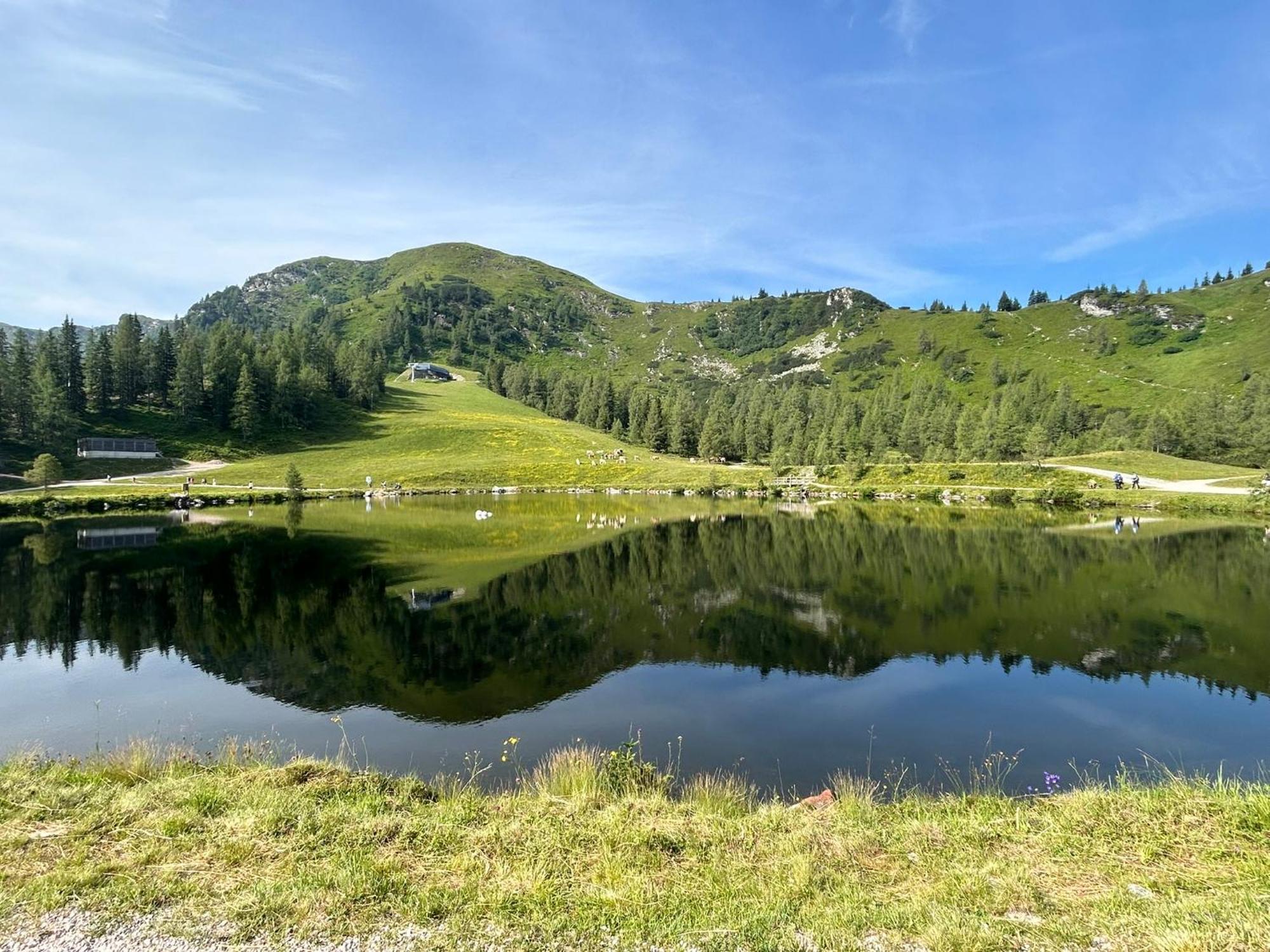 Flatzerhof Apartman Haus im Ennstal Kültér fotó